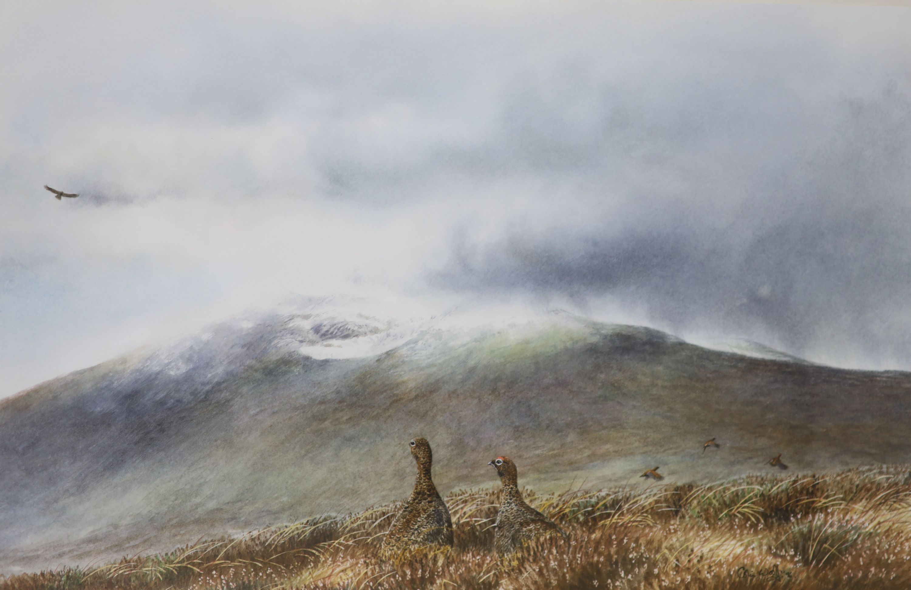 Colin Woolf (b. 1956), watercolour, Highland landscape with grouse in the foreground and a distant eagle, signed, 23 x 35cm